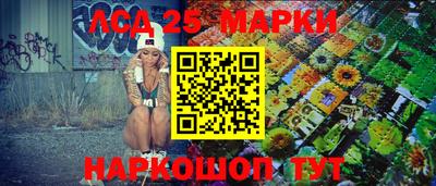 индика Обнинск
