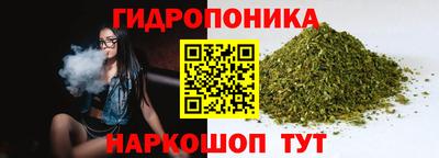 индика Обнинск
