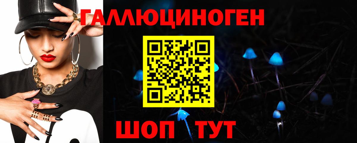 Галлюциногенные грибы Cubensis  Вход с VPN  Сосновый Бор 